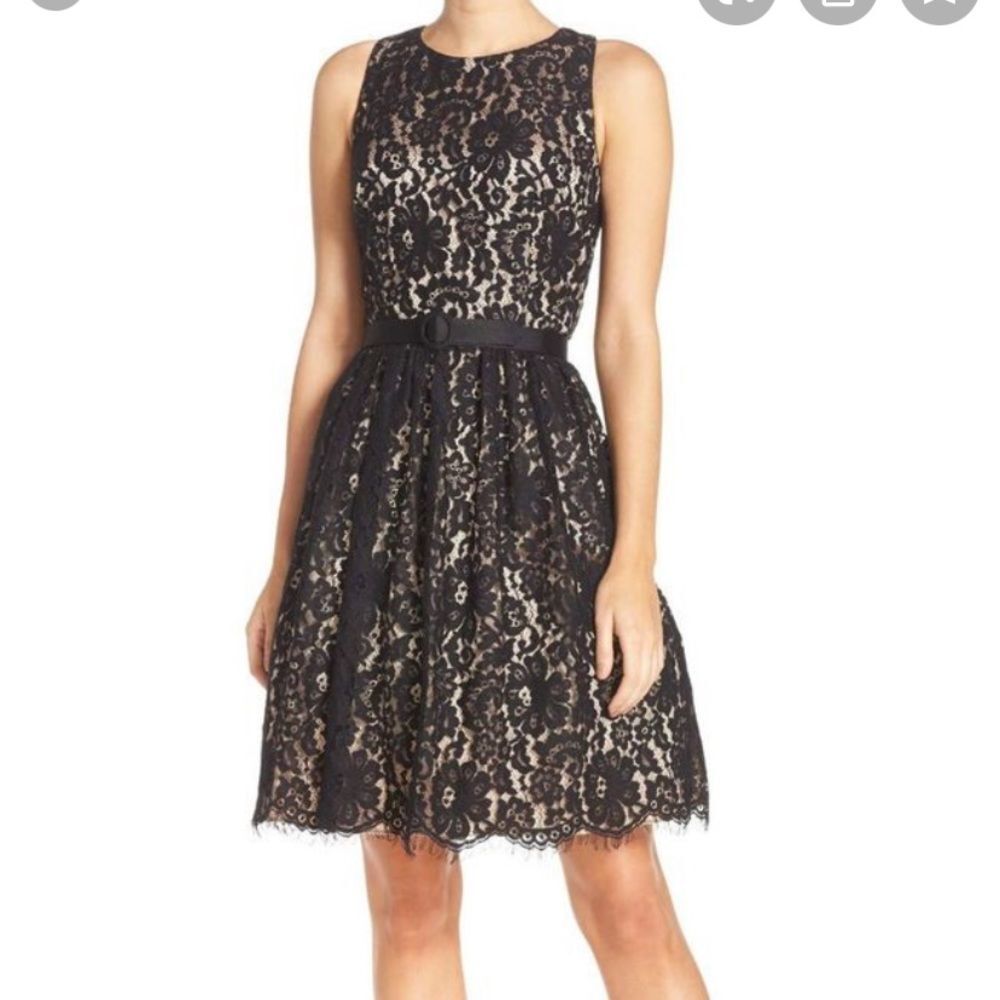 Eliza J Black Lace Fit-and-Flare Mini Dress